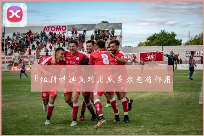 E组科特迪瓦对厄瓜多尔老将作用