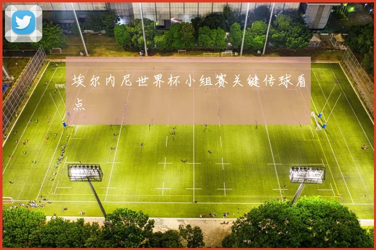 埃尔内尼世界杯小组赛关键传球看点
