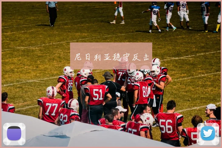 尼日利亚稳守反击