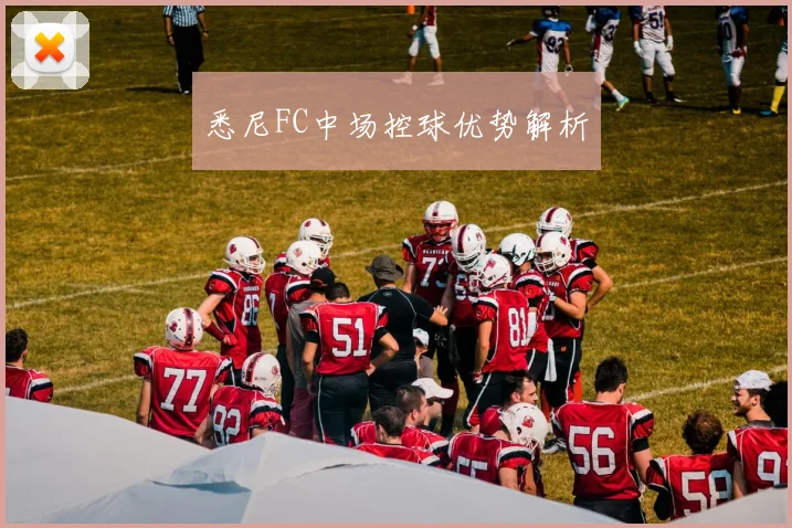 悉尼FC中场控球优势解析