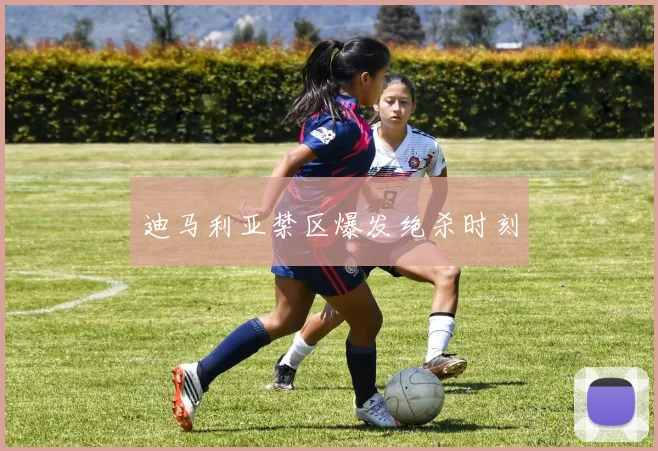 迪马利亚禁区爆发绝杀时刻