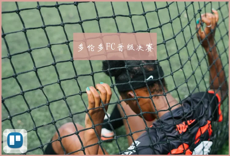 多伦多FC晋级决赛