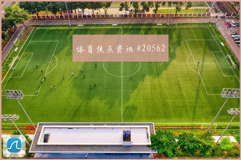 加拿大面对瑞士高强度对抗时对抗强度保持可能影响下半场调整