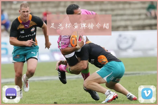 足总杯黄牌榜介绍