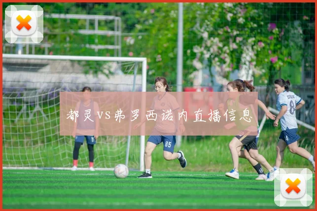 都灵vs弗罗西诺内直播信息