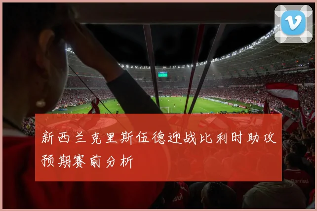 新西兰克里斯伍德迎战比利时助攻预期赛前分析